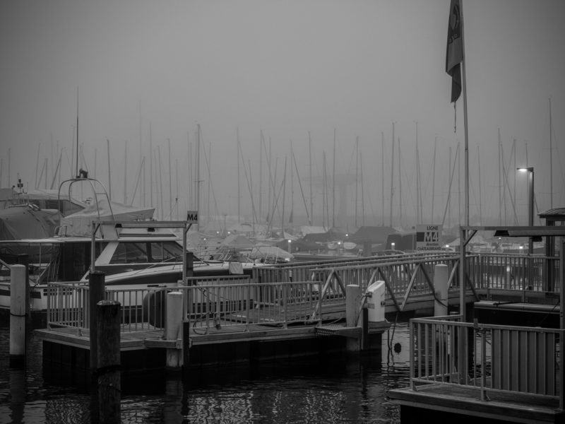 Quai de Cologny, temps de brume