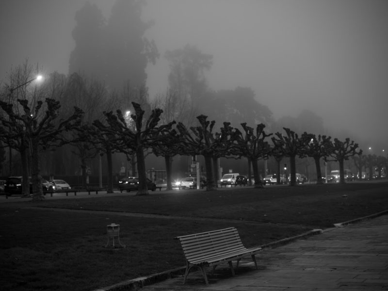 Quai de Cologny, temps de brume