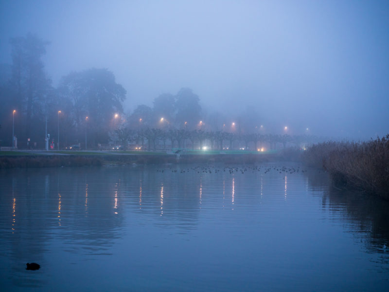 Quai de Cologny, temps de brume