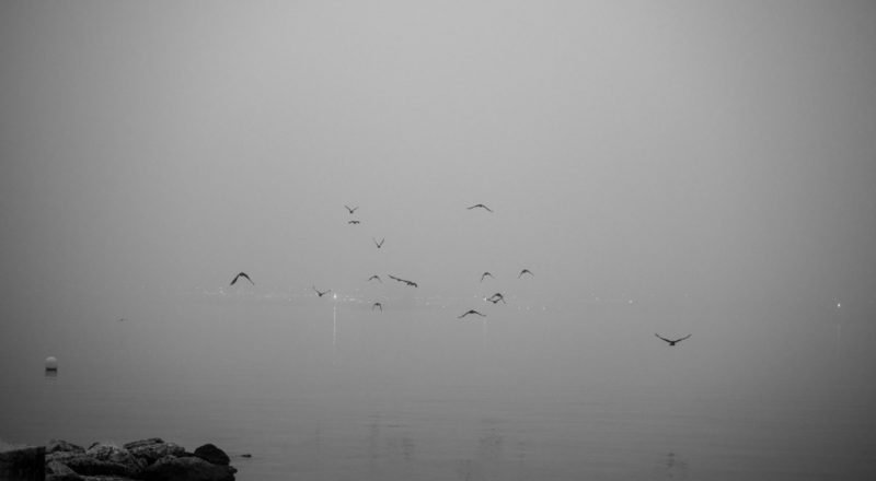 Quai de Cologny, temps de brume