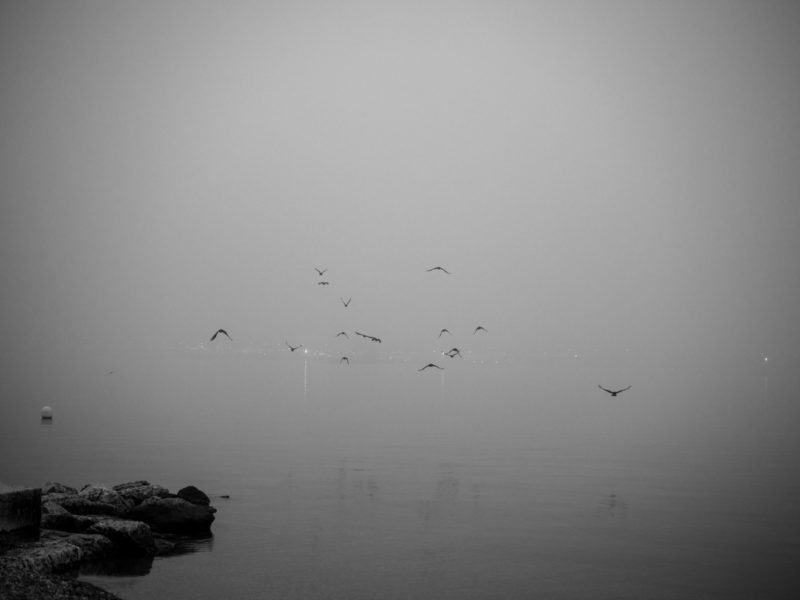 Quai de Cologny, temps de brume