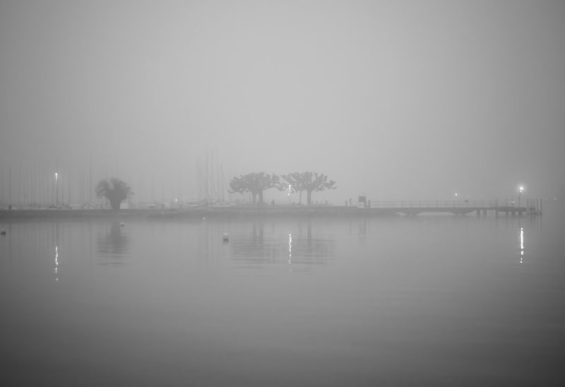 Quai de Cologny, temps de brume