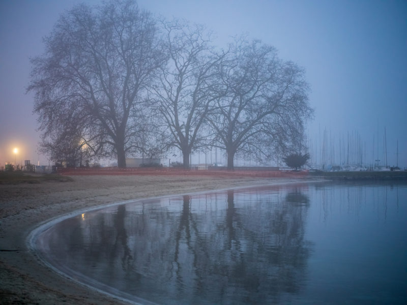 Quai de Cologny, temps de brume